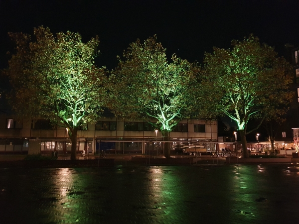 Groene verlichting in bomen Raadhuisplein