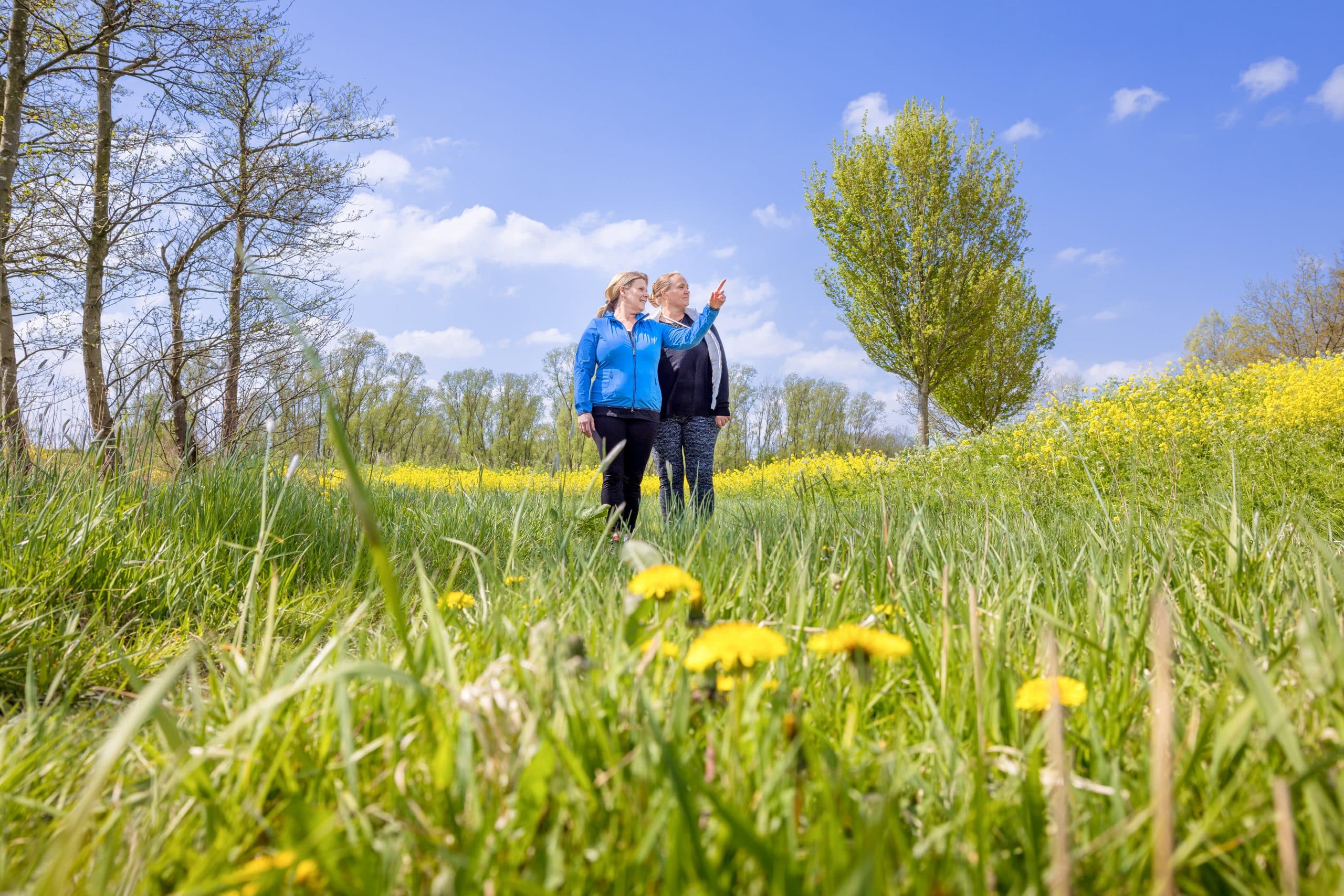 Vaststelling Omgevingsprogramma Groen in en om de kernen
