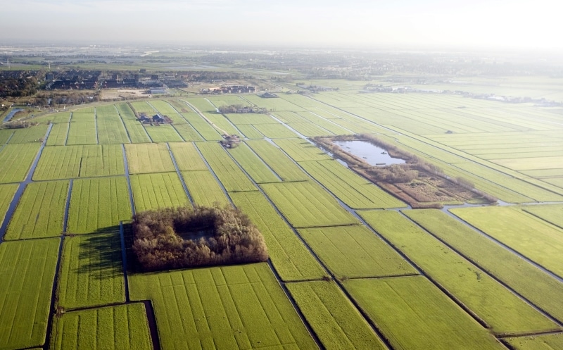 Verpachten weidevogelpercelen De Groene Keijzer