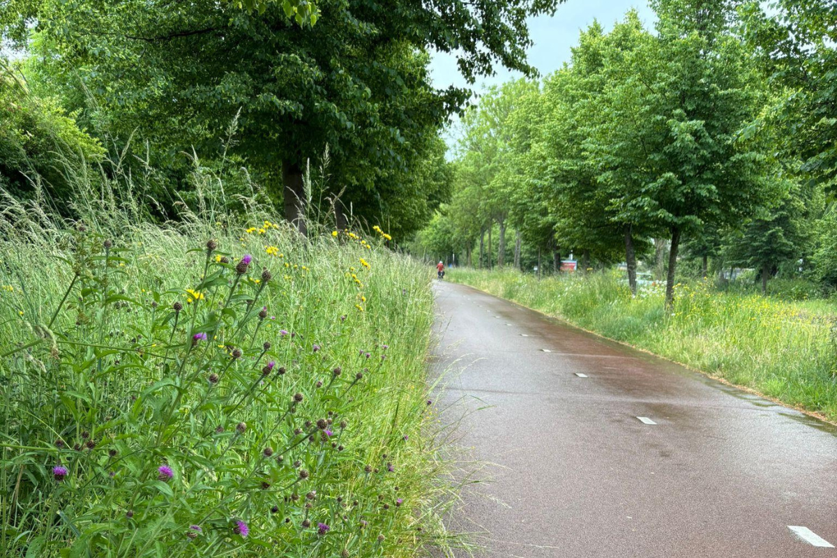 Werkzaamheden wegbermen vanaf maandag 26 mei