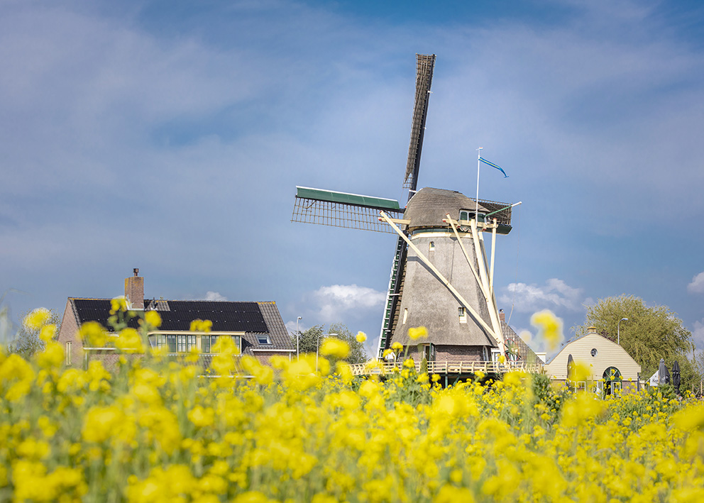 molen nootdorp