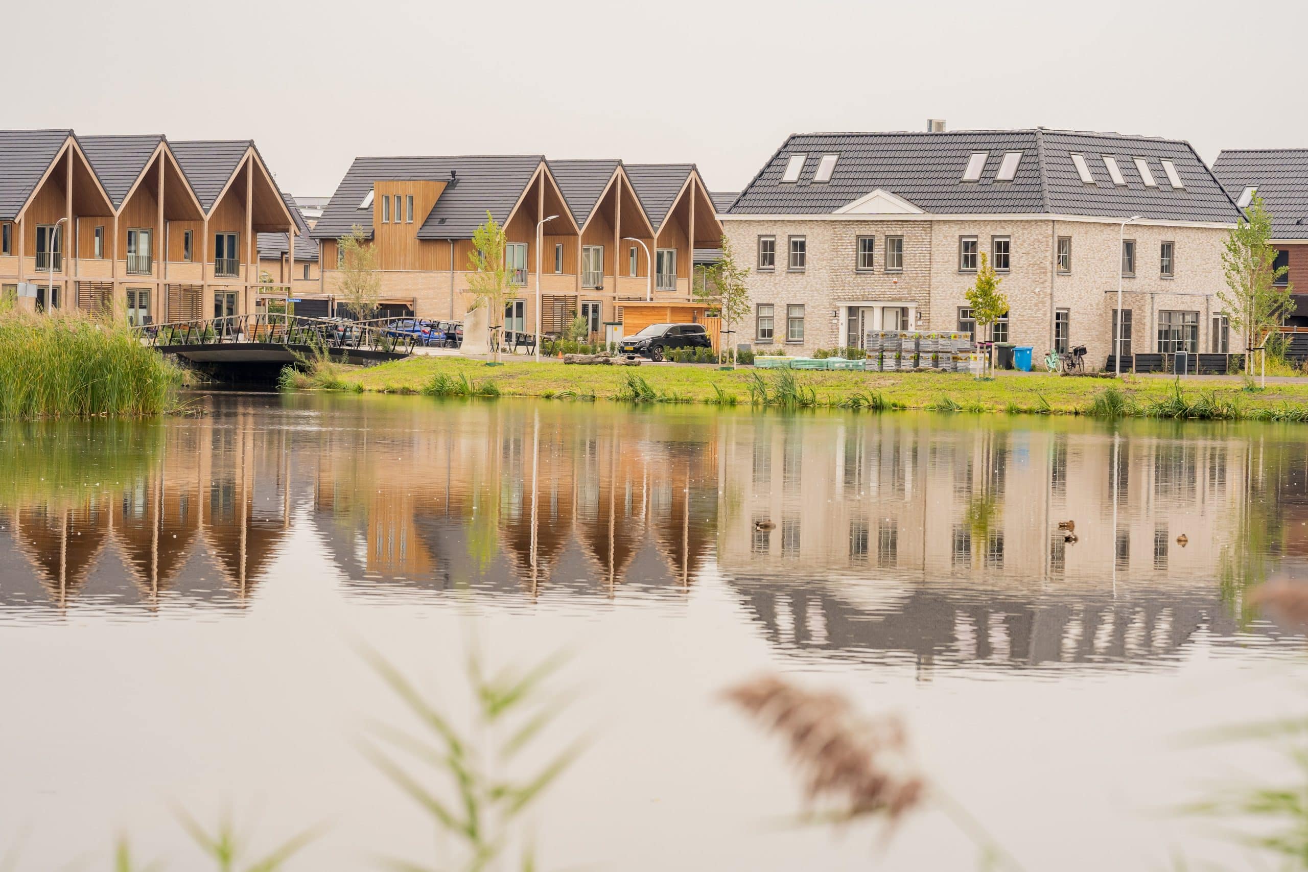 Blauwalgen in Plas van Van Buijsen
