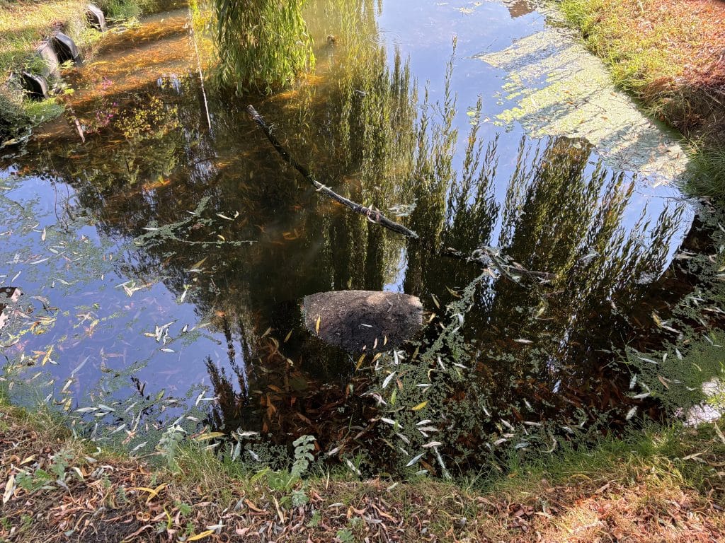 laag water in sloot