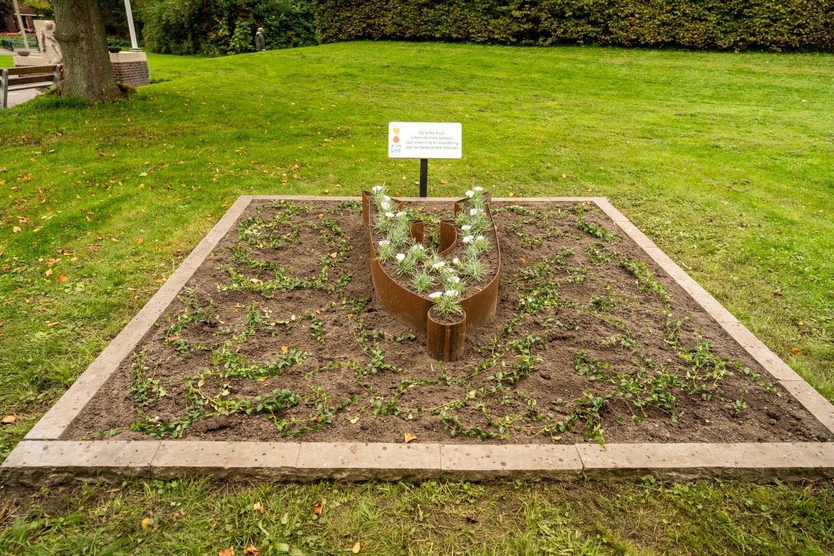 Vernieuwd anjerperkje als blijvend eerbetoon aan veteranen